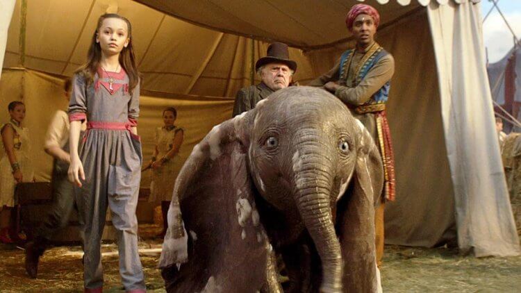 提姆波頓宣布再也不和迪士尼合作：我就像被困在「龐大又糟糕的馬戲團」中的小飛象，必須逃走