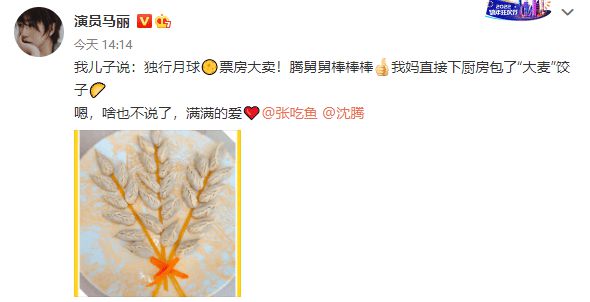 马丽儿子为《独行月球》打Call 喊腾舅舅棒棒棒 马丽儿子为《独行月球》打Call 喊腾舅舅棒棒棒