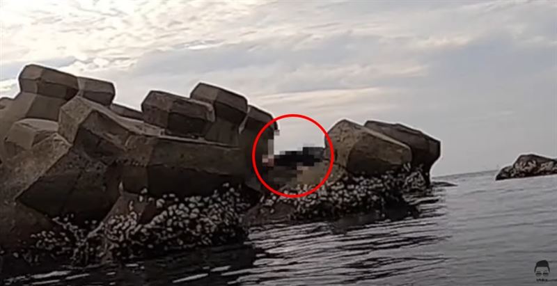 只差5分鐘!網紅潛水驚見「醉女躺消波塊」 驚險救援畫面全曝光