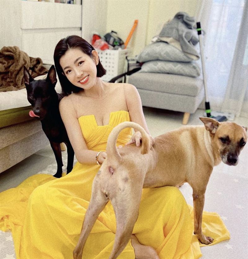 熱舞片狂吸粉！米可白被問「春節挑戰火辣穿搭現身鹿港賣餅」激動回應了