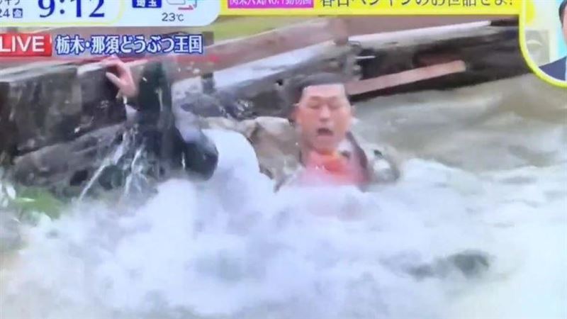 3度假摔嚇壞可憐企鵝！白目諧星「荒謬舉動」曝光　網全轟爆