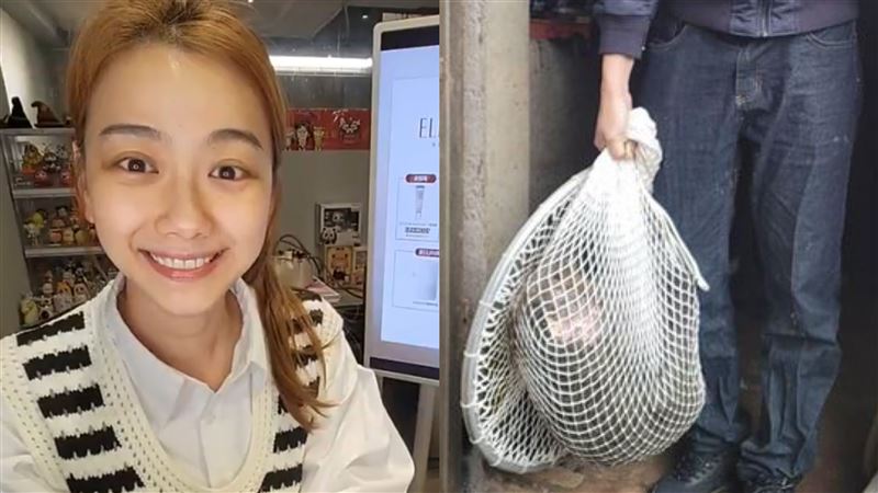 狒狒慘遭獵槍奪命！邵庭悲喊「想知道真相」：身而為人我真的很抱歉