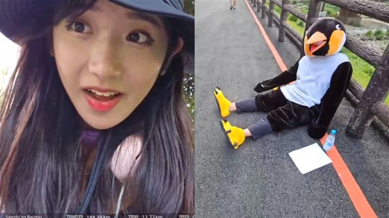 企鵝妹環島遇到「死企鵝」倒路邊！緊急衝上前餵水救命　驚人結局曝光