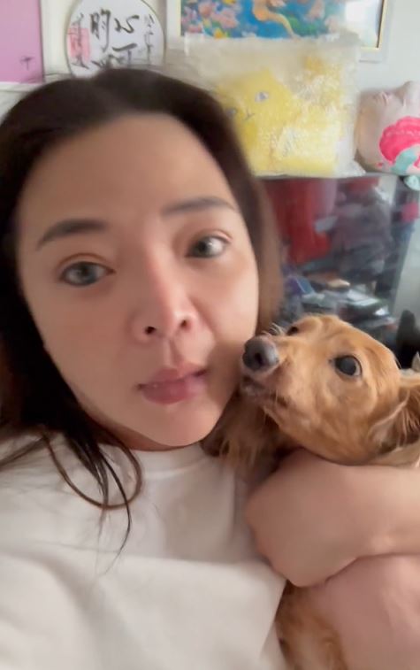 小甜甜深夜曬遺體照反擊謝忻陳沂！網友全嚇傻　狂刷快把狗狗救出來