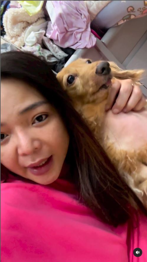 小甜甜狗重傷遭譙「說謊王」　突然宣布搬家！親吐原因