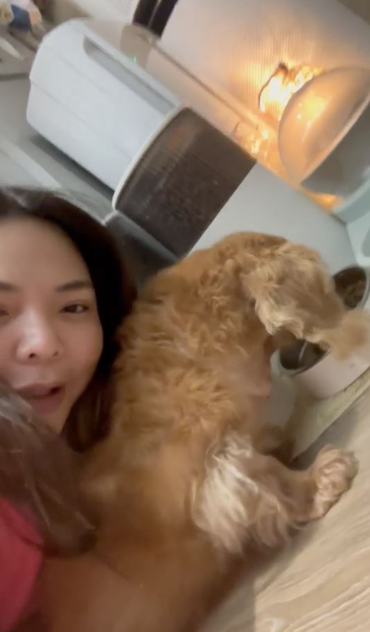 小甜甜拍片道歉了！堅稱「不可能虐狗」認情緒失控開直播：真的對不起