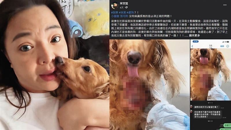 動保處帶狗驗傷3小時證「無虐狗」　小甜甜再發聲：一句話讓我鼻酸想哭
