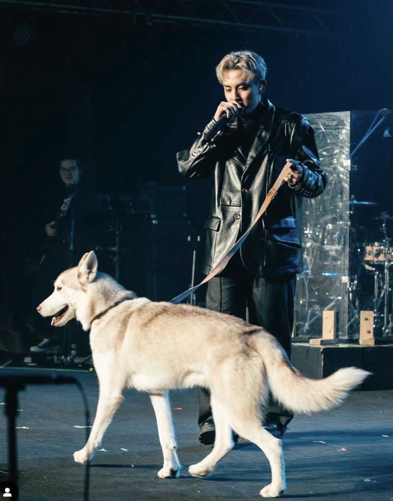 U:NUS高有翔迎24歲生日！直播驚吐「愛犬Fendi走丟」驚險過程曝光