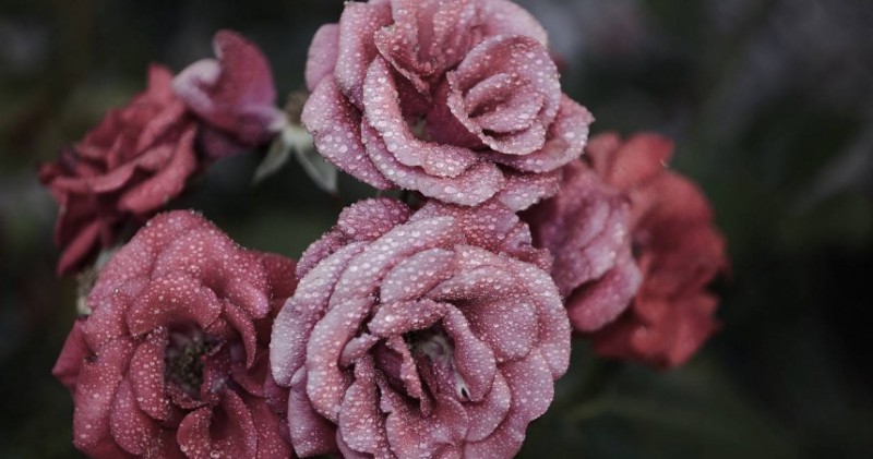 命理師警告MeToo要燒到8月　下半年恐再爆「淫慾復仇醜聞」