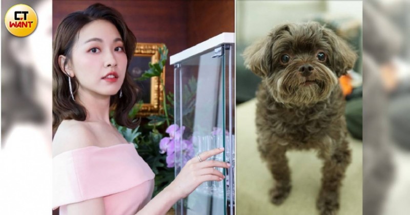 林玟誼當媽卻跪地邊擦尿邊哭　聞姊妹王宇婕「愛子」過世當場崩潰