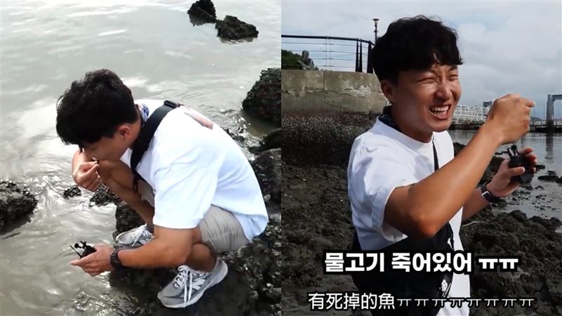 不只中國網紅!南韓YTR也來台喝「淡水河」 驚見死魚爆粗口:是鹹的