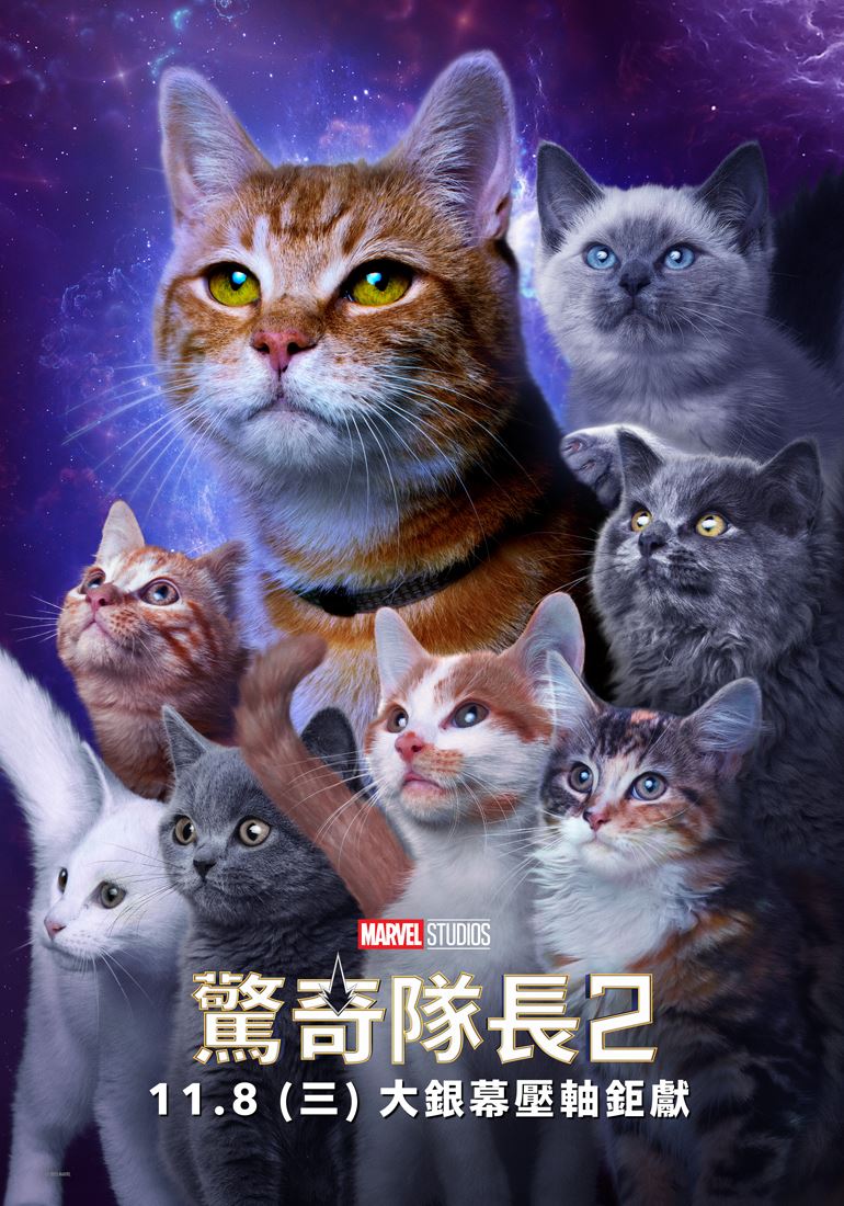 就是今天！《驚奇隊長2》揭喵星人秘辛「她愛貓卻過敏」呆頭鵝衝太空