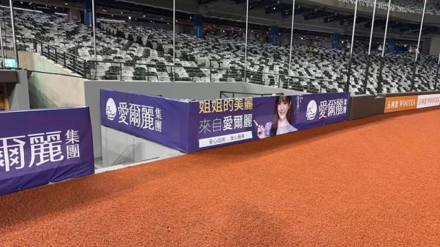 愛爾麗集團常董扮推手　謝金燕台北大巨蛋開唱第一人