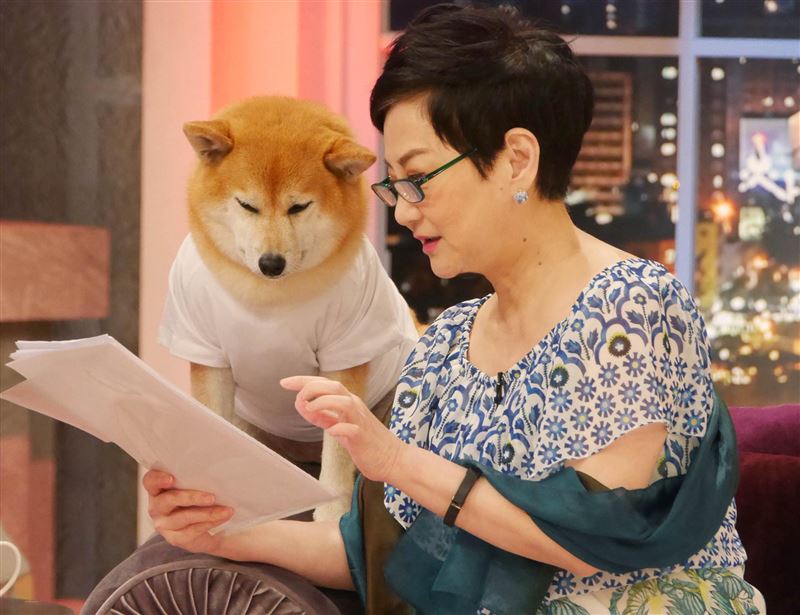 選前倒數1天！張小燕罕見表態「絕對不缺席」拒政客把寶島變戰場