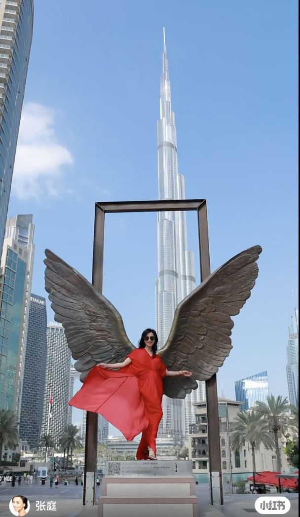 張庭林瑞陽昔遭中國重錘　爆突砸8.5億海外置產！102字最新聲明曝光