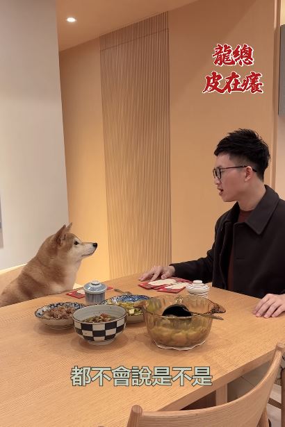 視網膜瘋《龍捲風》！年夜飯給柚子紅包　怨：養6年不會說謝謝嗎？