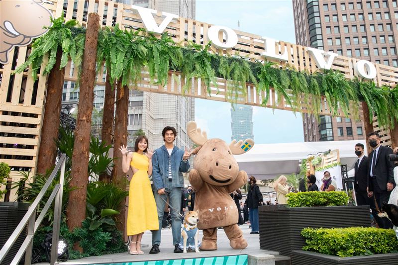 王淨驚爆至愛受傷！打架耳朵縫十針　陳柏霖寶貝「跌落山谷摔斷腿」