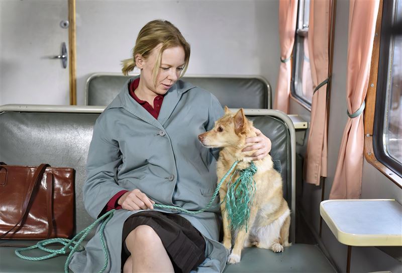 人比狗氣死人!天才狗「卓别林」奪坎城大獎「男星超吃味」影后喜極而泣