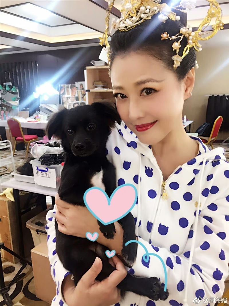 周海媚場面地藏洋蔥...「墓碑上沒照片改刻這」 鮮花堆成想念