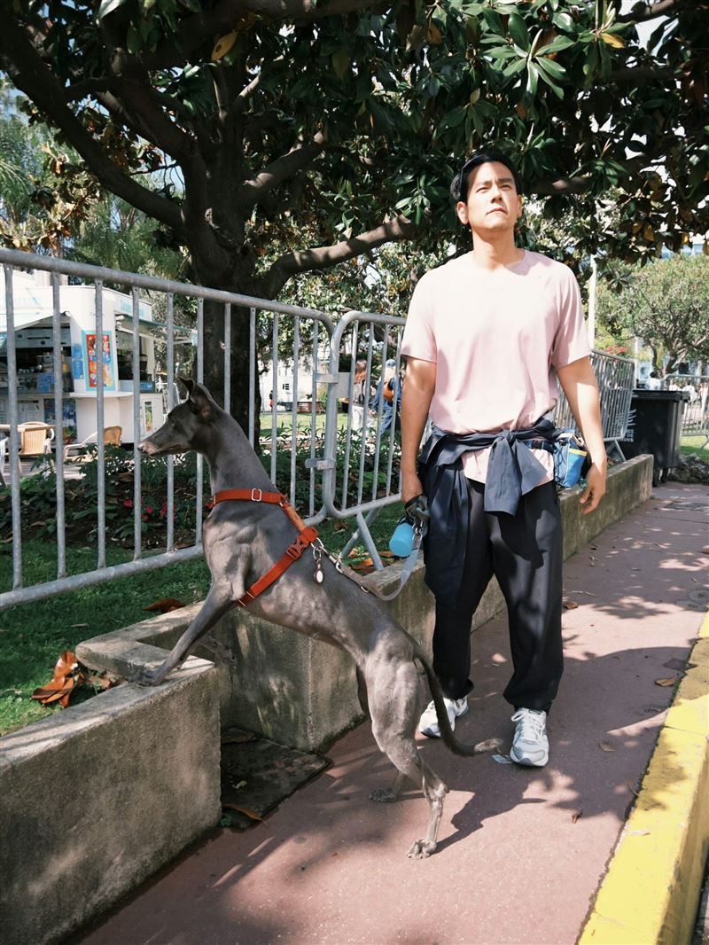 彭于晏遛狗被捕獲！不在天母竟在坎城「影展鬆弛當狗奴」偶遇超大咖導演