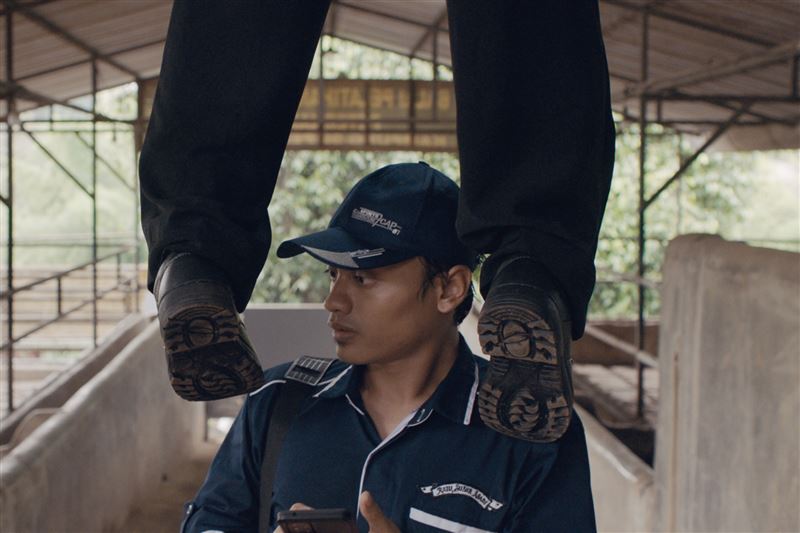 真人真事超恐怖!《血繼》集體尖叫「血腥又悲痛」手足失和引爆恐懼