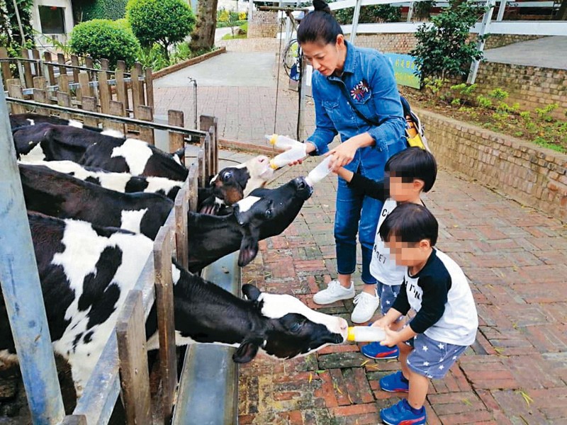 為懷孕花5年做試管　「陳明真高齡產雙胞胎」親力親為照顧