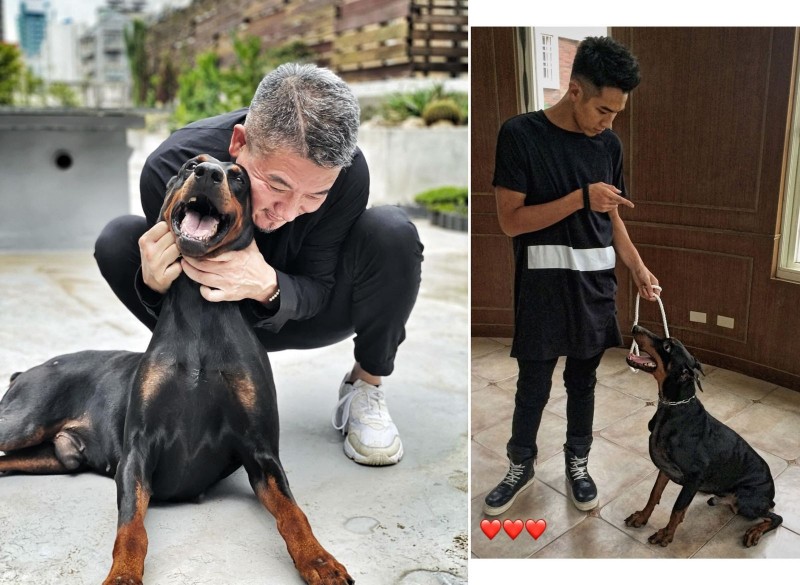 柯爸嘆2025年也太不好　柯震東愛犬Ace今因病離世