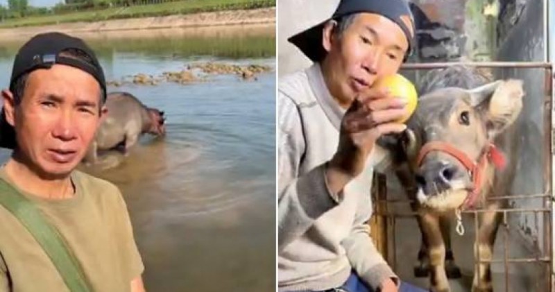 放牛網紅被挖黑歷史！10年前賣「假毒品」入獄　本人認了：給我一條活路