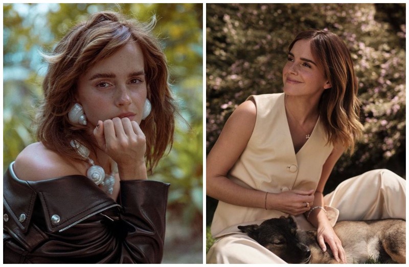 葛萊芬多扣12分！「妙麗」艾瑪華森開車超速　遭禁駕半年、重罰4萬