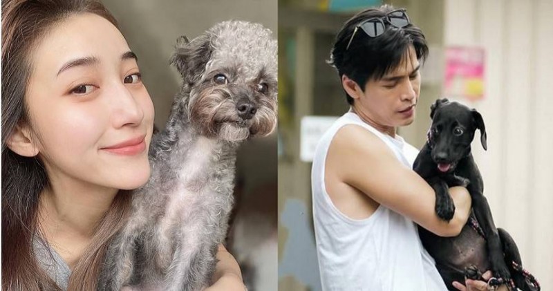 Gino當司機兼狗狗保姆！載小13歲夏宇禾現蹤機場　私下互動全被拍