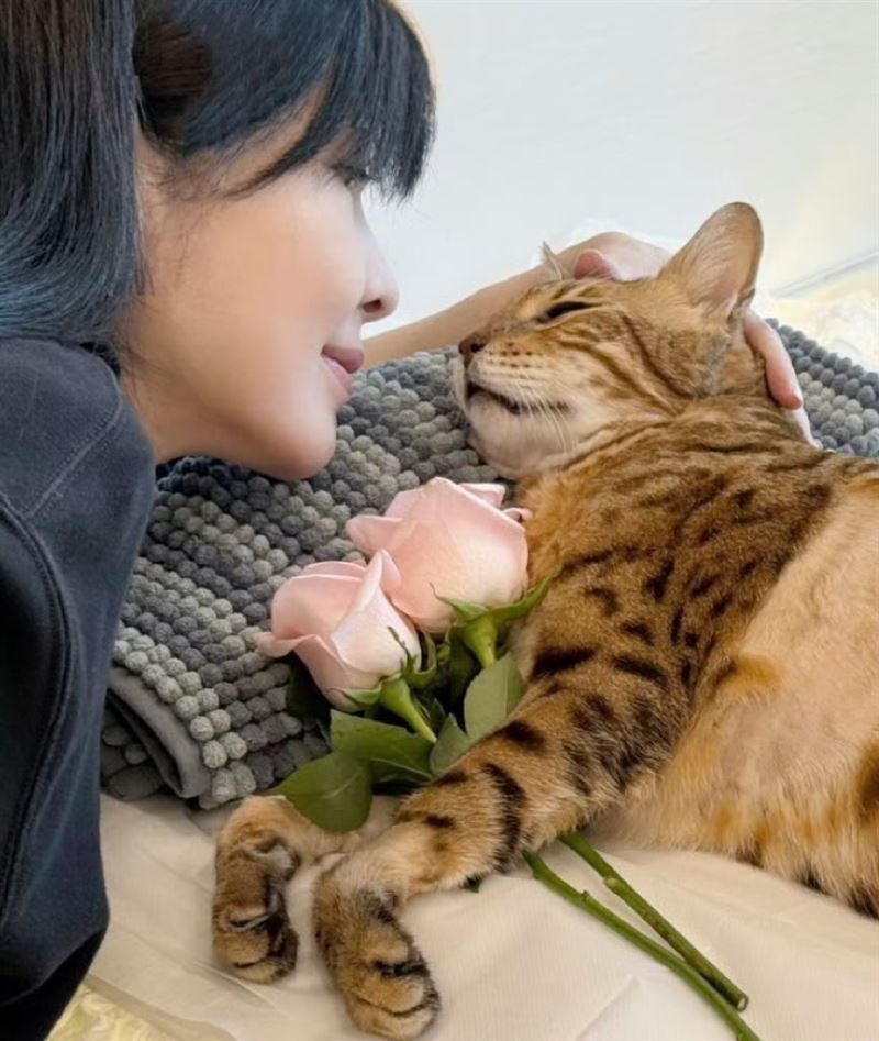 結婚16年沒生育！57歲玉女掌門人哀悼「愛兒」離世：讓我成為幸福媽媽