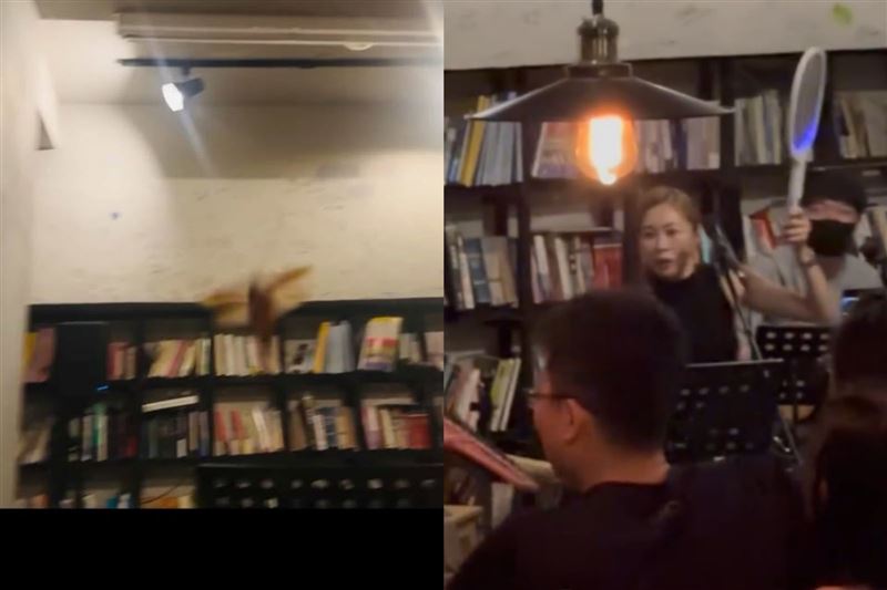 綜藝魂爆發！張棋惠唱一半遇「小強」空襲　尖叫竄逃反應曝