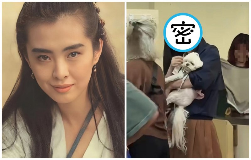 王祖賢又被野生捕獲！抱愛犬穿拖鞋買菜　身上「一亮點」被讚：超潮