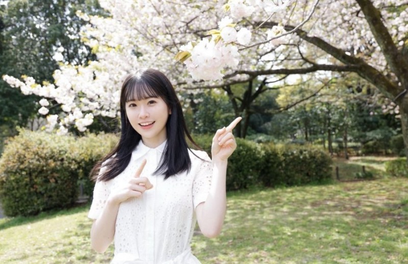 白上咲花出道作品番号及封面，白上咲花个人简介