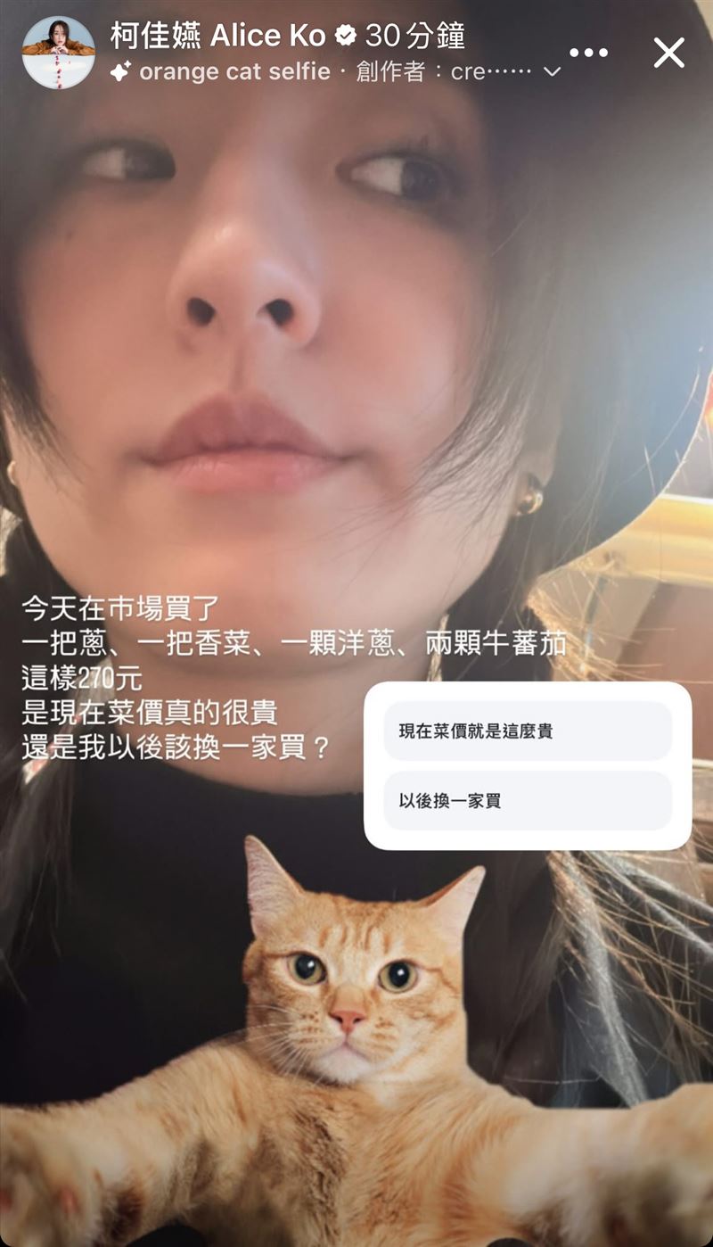 菜價連女神都驚呆　柯佳嬿逛市場買了這些東西花270元！傻眼想換別家