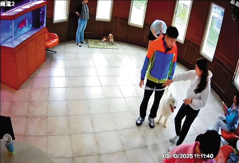 富商曖昧前主播/愛犬送貴族學校猝死 意外揭代銷天王、前主播曖昧情