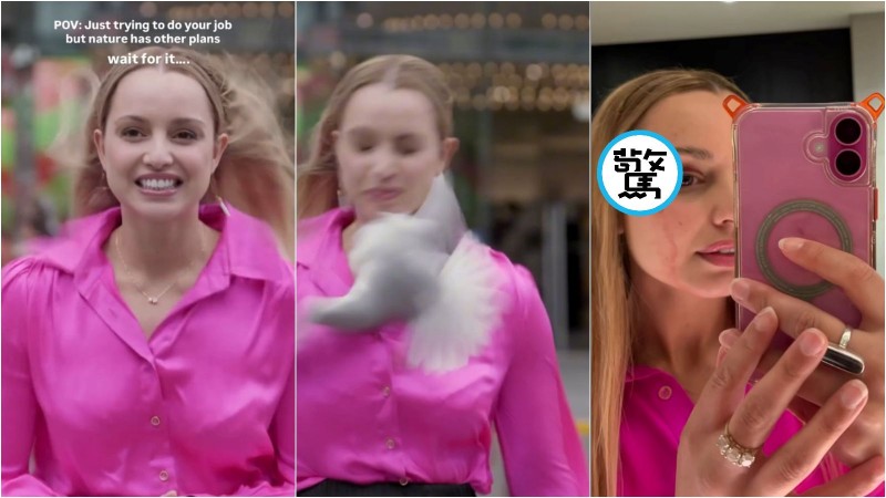 有片／白鳥突衝來！美女記者臉遭重擊濺血「痛到飆粗口」　驚險瞬間曝