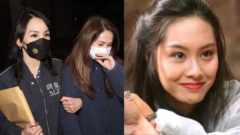 「紫霞仙子」移送高金素梅！女調查官超狂背景曝　曾辦重大共諜案