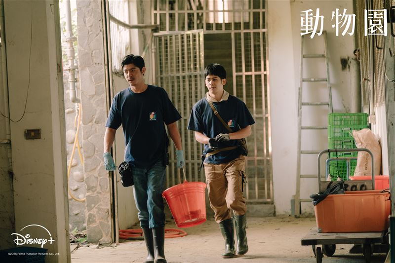 邵雨薇帶鳳梨酥進動物園 獼猴暴動搶食!王柏傑「對峙黑熊」驚悚瞬間曝