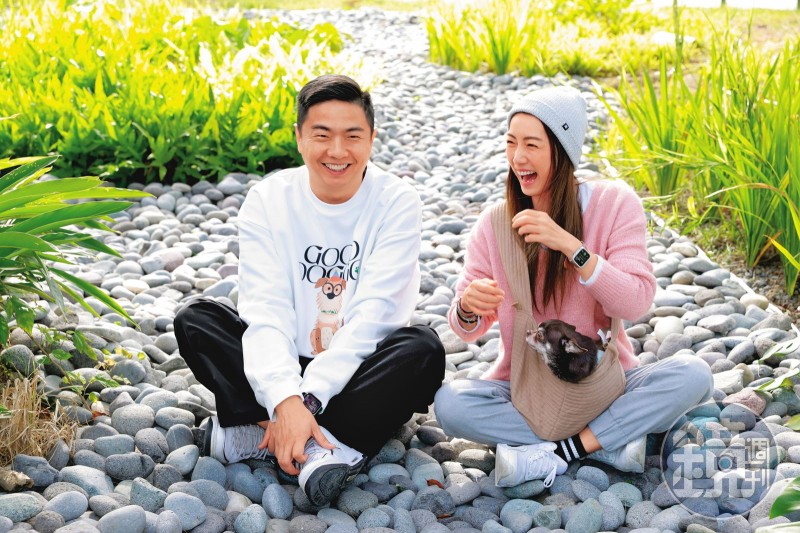 聽見人聲暴衝　林韋君怕吉娃娃出門被踹