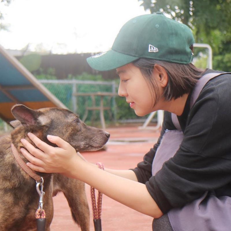 猴硐貓遭噴辣椒水引眾怒!米可白發聲痛批 喊話:可以不愛但別傷害