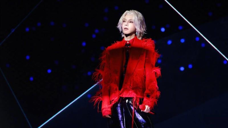 大咖男星翻車了！「讓貓舔巧克力」影片瘋傳挨轟無知：想害死貓？