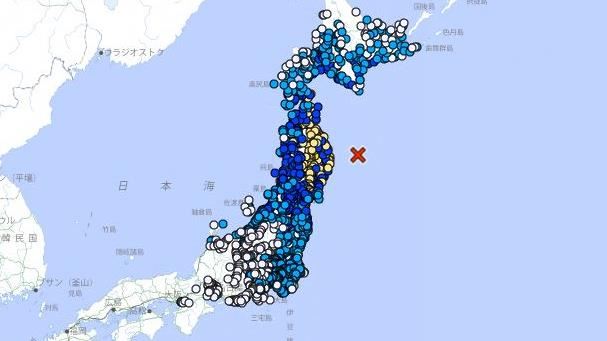 日本7.7強震！視網膜東京15樓嚇壞「搖超久」 愛犬1反應笑翻網