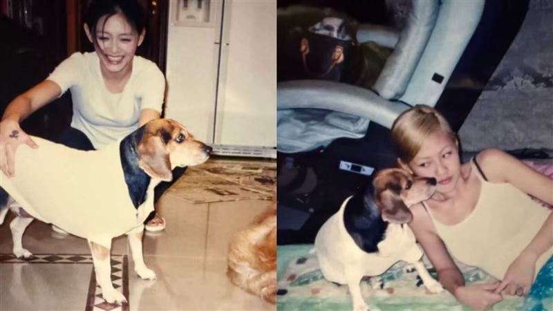 「心甘情願當僕人」！小S憶大S要求清排泄物：妳要我做什麼我都願意