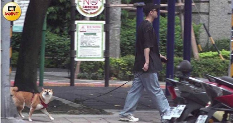 直擊王子為弟遛狗!為一事無奈告狀 彭于晏帶愛犬放風鬧緋聞