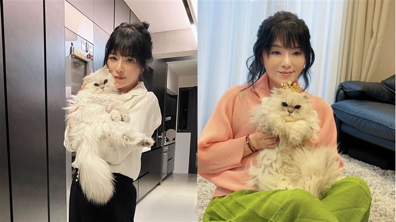 發病12小時！唐綺陽15年愛貓驟逝　她悲慟：太不真實、太快了