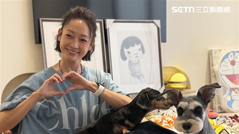 痛心文化預算被酸「養無產值的人」!潘慧如力挺公視發聲了