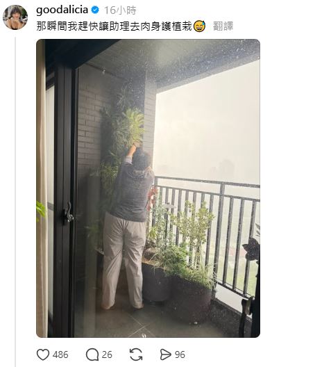 派助理肉身護植栽遭轟!愛莉莎莎竟回:不會被吹走