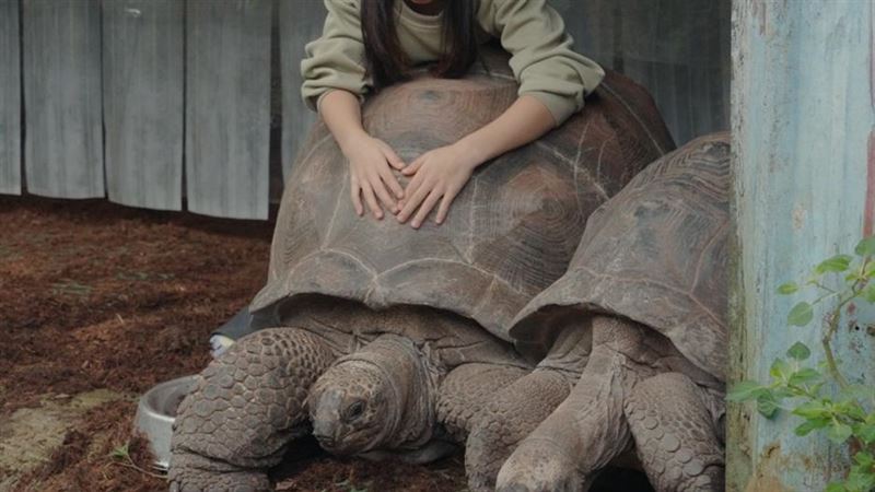 家養200條蛇！突幫巨蜥剪指甲　節目製作人：心臟非常強大